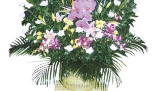 item0006-320x180.jpg